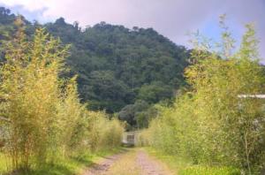 Entry road to the project. By Elián Castillo