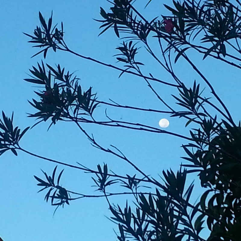 Imagen tomada a las 6:52 a.m., jueves 11 de septiembre. Image taken at 6:52 am, Thursday 11 of September.