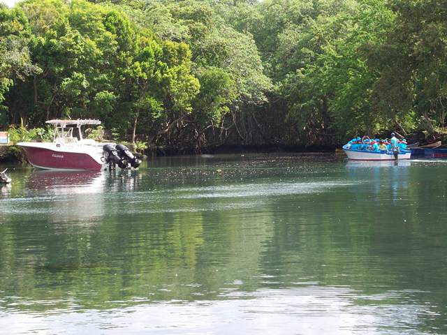 Está localizada en el municipio Río San Juan, de la provincia María Trinidad Sánchez. / It's located in the Rio San Juan county of Maria Trinidad Sanchez province.