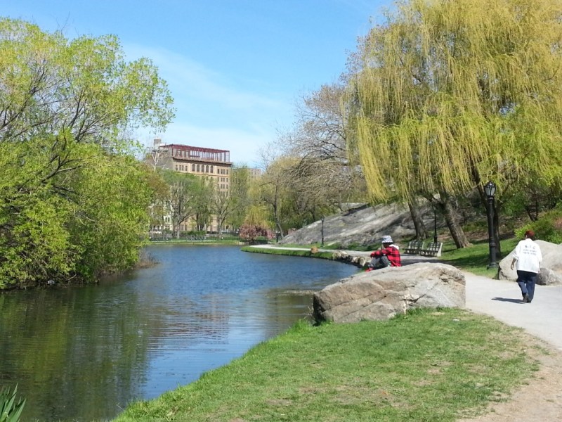 Summer Central Park Pond