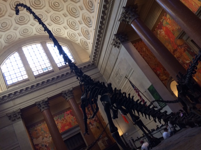 Museo Estadounidense de Historia Natural