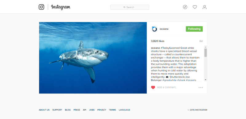 Campaña en redes sobre tiburón - Oceana