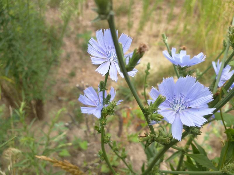 Photo Credit: Georgina De Moya