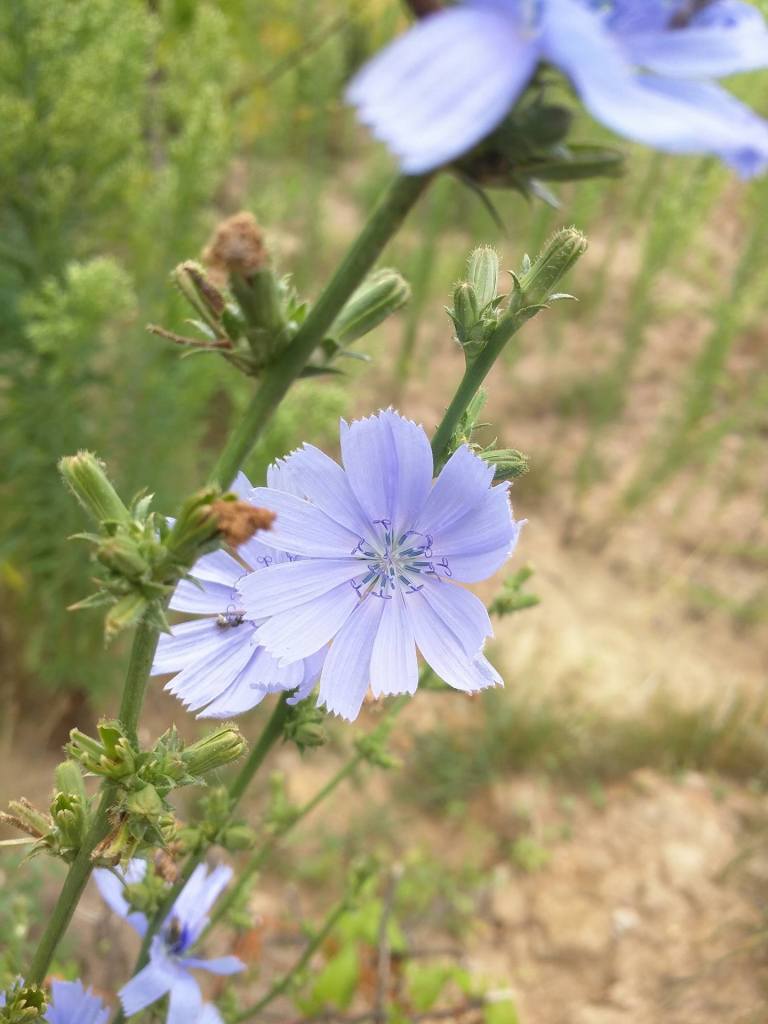 Photo Credit: Georgina De Moya