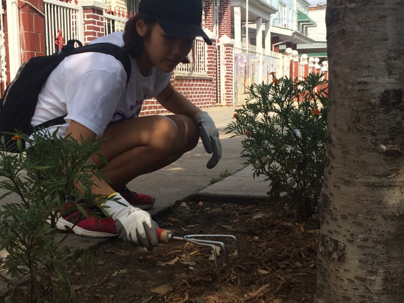Fue la primera vez que Bella Moon, estudiante de premédica, realizó un voluntariado en servicios ambientales.