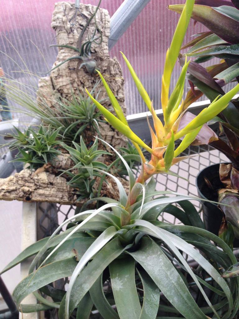 Credit: Georgina De Moya